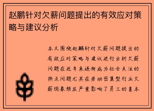 赵鹏针对欠薪问题提出的有效应对策略与建议分析 赵鹏针对欠薪问题提出的有效应对策略与建议分析